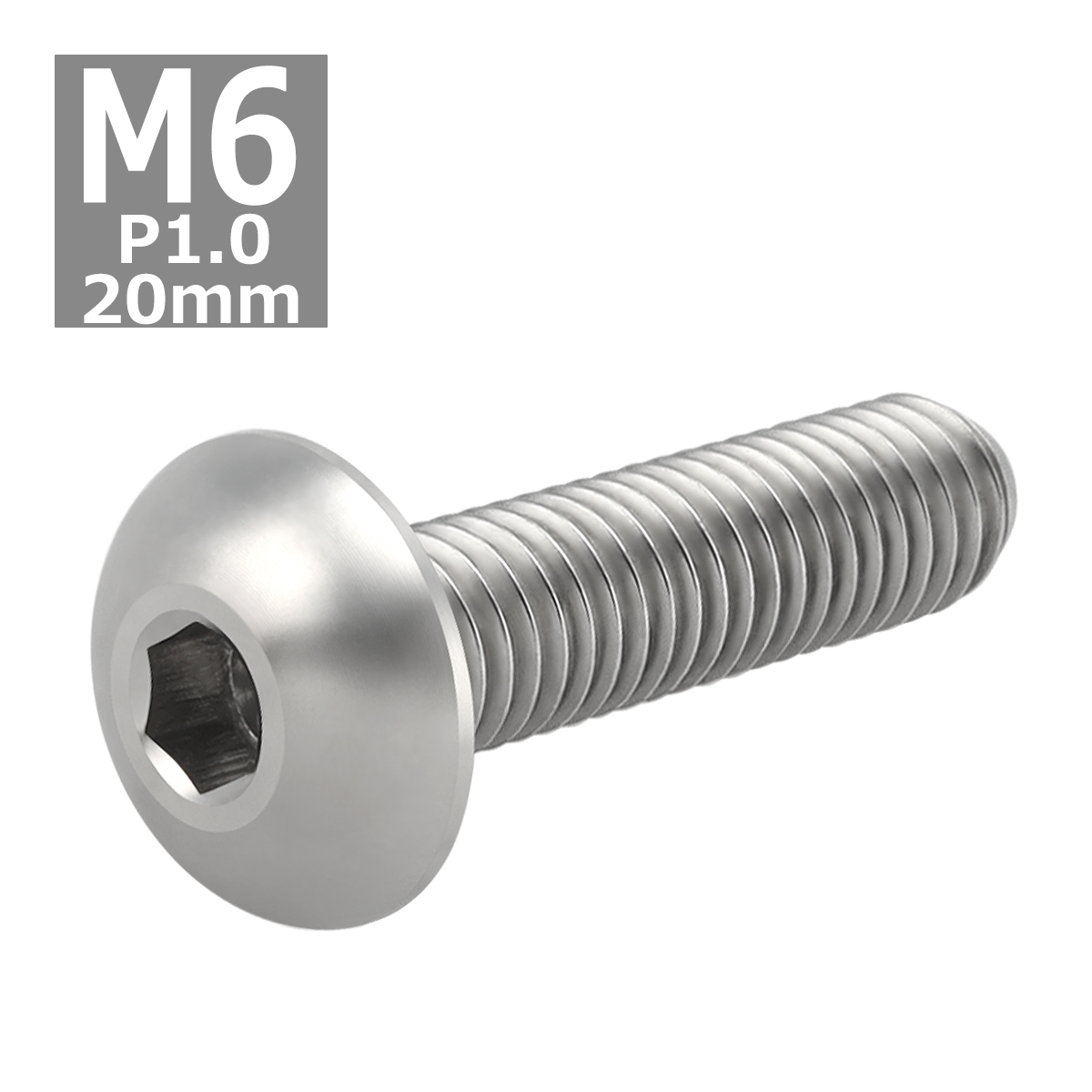 64チタンボルト M6×20mm P1.0 トラスヘッド 六角穴付き シルバーカラー 1個 JA912 | ブランド登録なし | 03