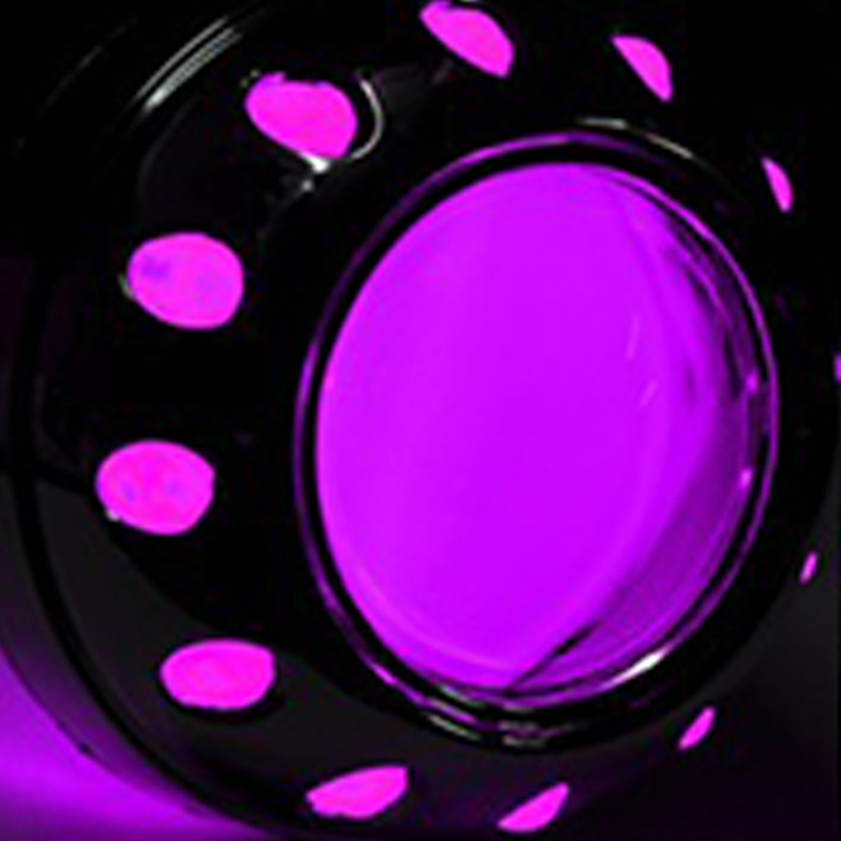 ヘッドライト 埋込型 バイキセノンプロジェクター HID CCFLリング内蔵 日本仕様モデル PZ026 | ブランド登録なし | 06