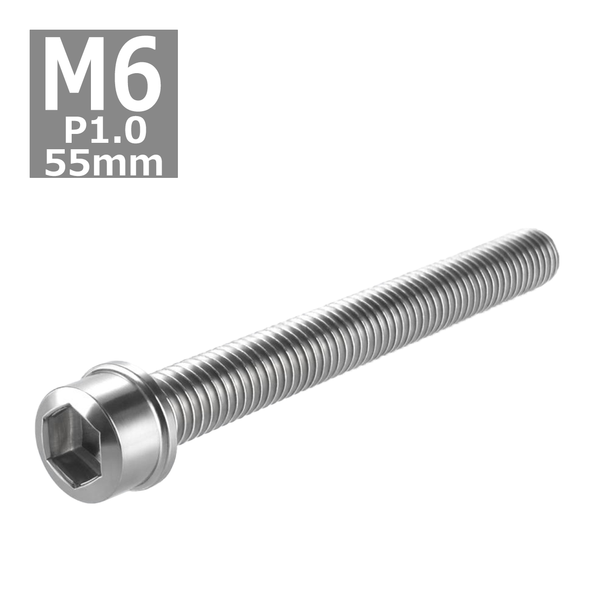 キャップボルト M6×55mm P1.0 スリムヘッド ステンレス シルバー