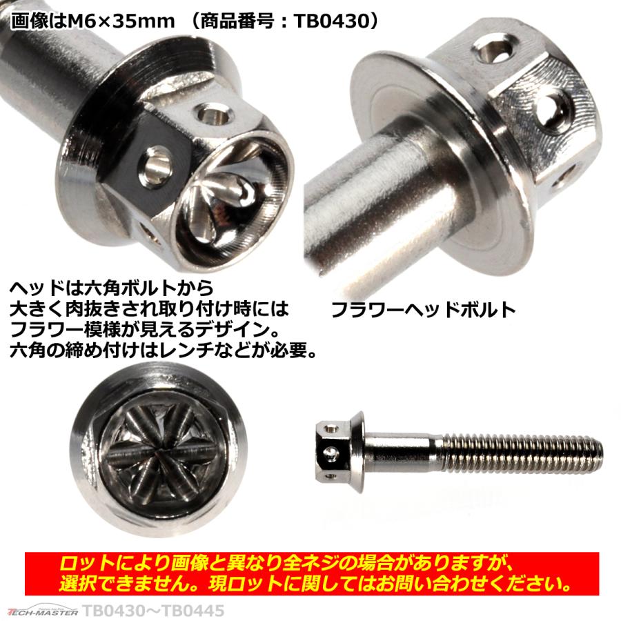 六角ボルト M6×85mm P1.0 フラワーヘッド ステンレス シルバー 1個 TB0440 | ブランド登録なし | 02