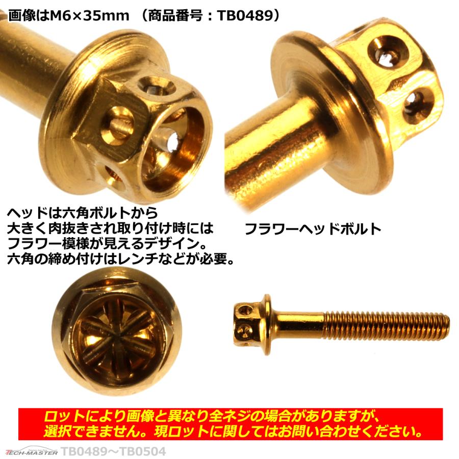 六角ボルト M6×40mm P1.0 フラワーヘッド ステンレス ゴールド 1個 TB0490 | ブランド登録なし | 02