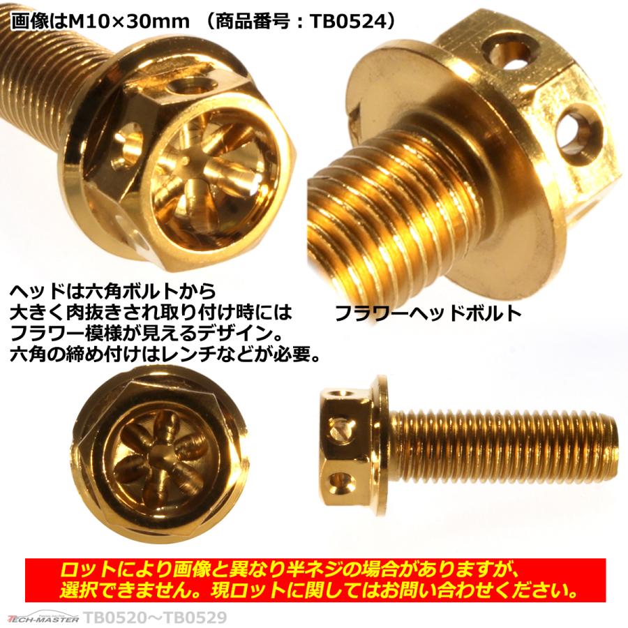 六角ボルト M10×40mm P1.25 フラワーヘッド ステンレス ゴールド 1個 TB0526 | ブランド登録なし | 02