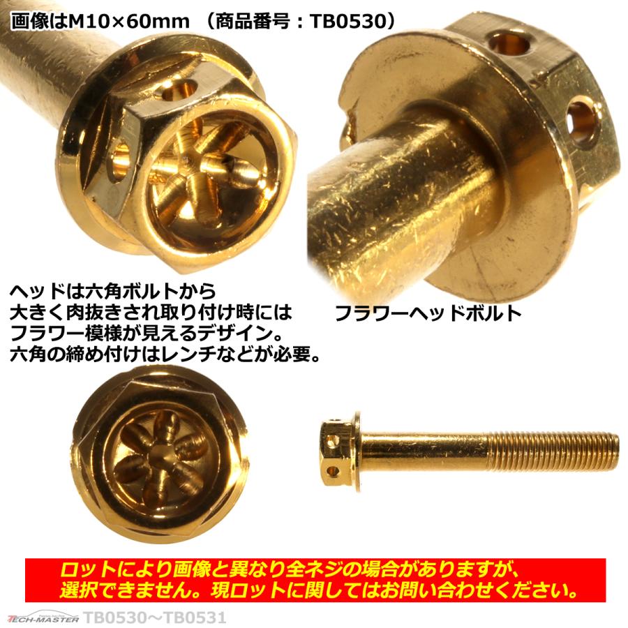六角ボルト M10×65mm P1.25 フラワーヘッド ステンレス ゴールド 1個 TB0531 | ブランド登録なし | 02