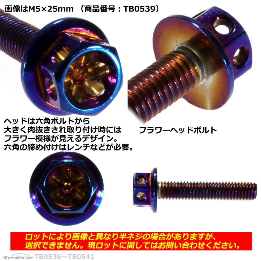 六角ボルト M5×30mm P0.8 フラワーヘッド ステンレス 焼きチタンカラー 1個 TB0540 | ブランド登録なし | 02