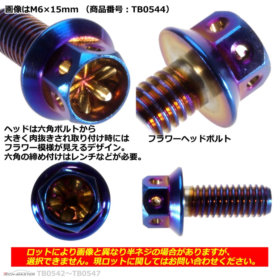 六角ボルト M6×20mm P1.0 フラワーヘッド ステンレス 焼きチタンカラー 1個 TB0545 | ブランド登録なし | 02
