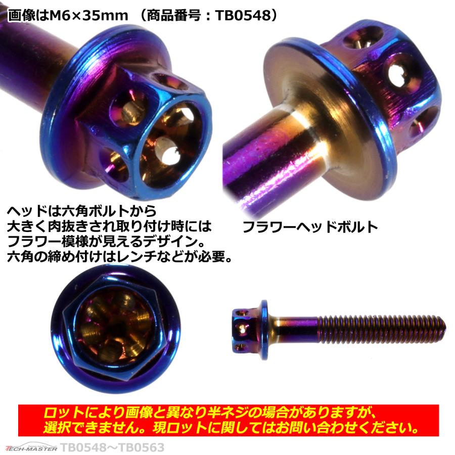 六角ボルト M6×45mm P1.0 フラワーヘッド ステンレス 焼きチタンカラー 1個 TB0550 | ブランド登録なし | 02