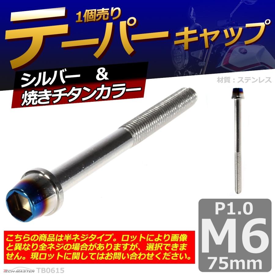 キャップボルト M6×75mm P1.0 テーパー ステンレス シルバー＆焼きチタンカラー 1個 TB0615 | ブランド登録なし | 01