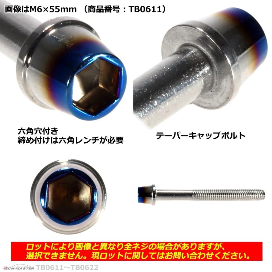 キャップボルト M6×110mm P1.0 テーパー ステンレス シルバー＆焼きチタンカラー 1個 TB0622 | ブランド登録なし | 02