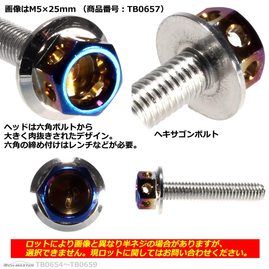 六角ボルト M5×15mm P0.8 ヘキサゴン ステンレス シルバー＆焼きチタン