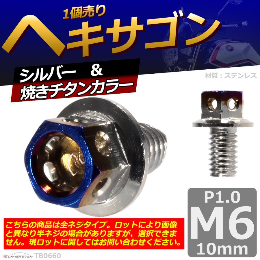 六角ボルト M6×10mm P1.0 ヘキサゴン ステンレス シルバー＆焼きチタンカラー 1個 TB0660 | ブランド登録なし | 01