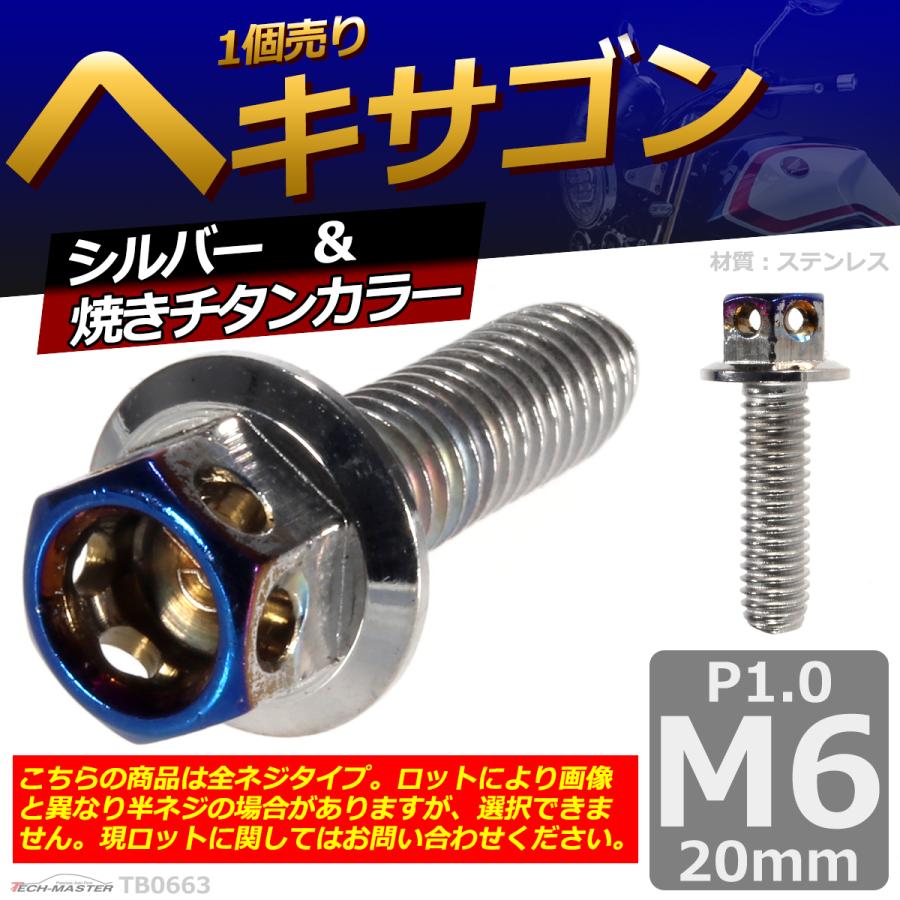 六角ボルト M6×20mm P1.0 ヘキサゴン ステンレス シルバー＆焼きチタンカラー 1個 TB0663 | ブランド登録なし | 01