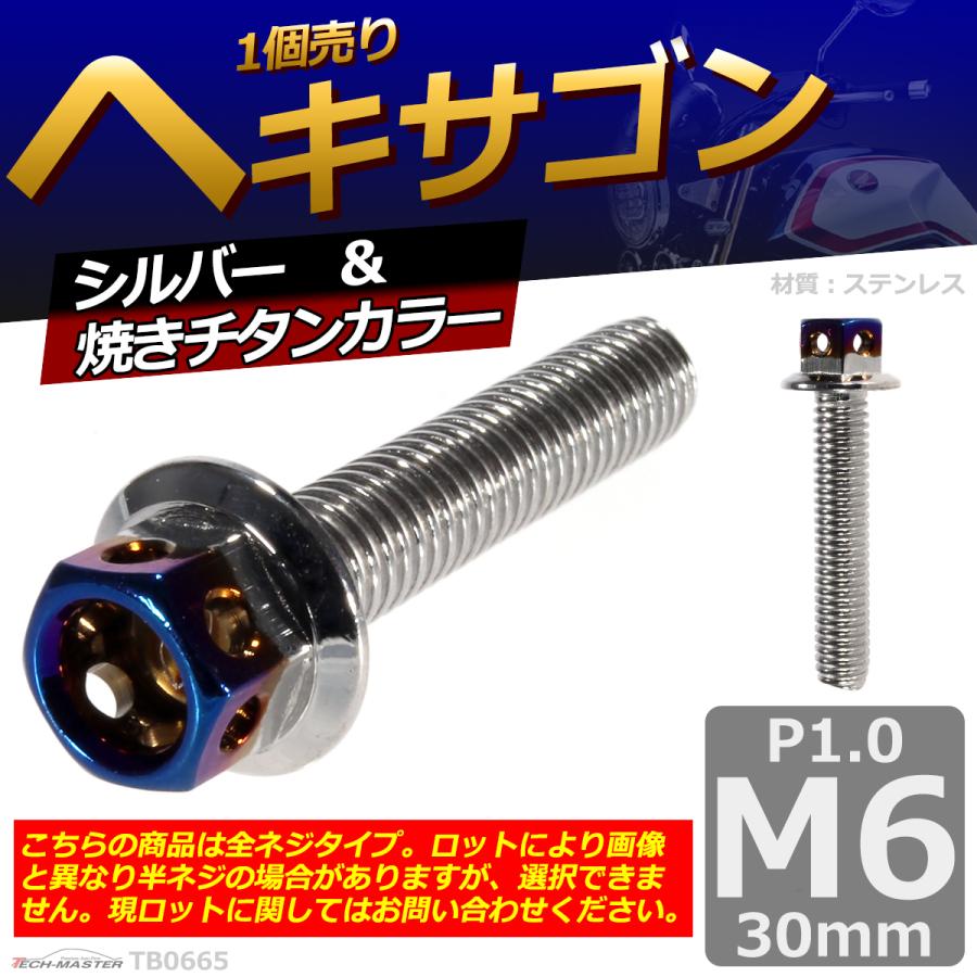 六角ボルト M6×30mm P1.0 ヘキサゴン ステンレス シルバー＆焼きチタンカラー 1個 TB0665 | ブランド登録なし | 01