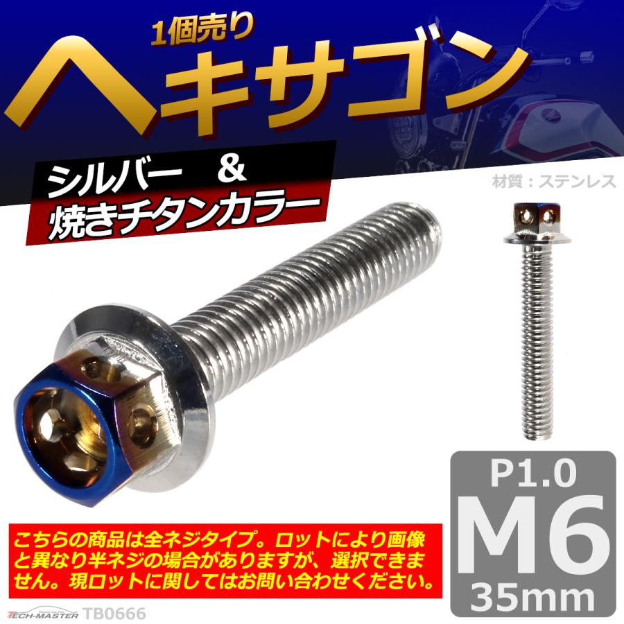六角ボルト M6×35mm P1.0 ヘキサゴン ステンレス シルバー＆焼きチタンカラー 1個 TB0666 | ブランド登録なし | 01