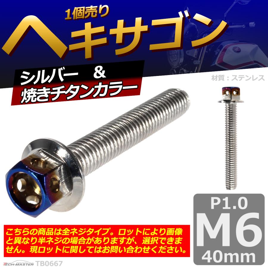 六角ボルト M6×40mm P1.0 ヘキサゴン ステンレス シルバー＆焼きチタンカラー 1個 TB0667 | ブランド登録なし | 01