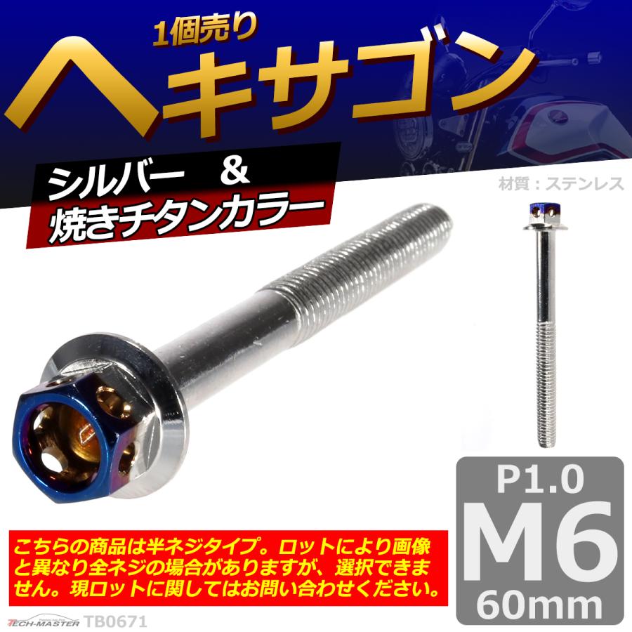 六角ボルト M6×60mm P1.0 ヘキサゴン ステンレス シルバー＆焼きチタンカラー 1個 TB0671 | ブランド登録なし | 01