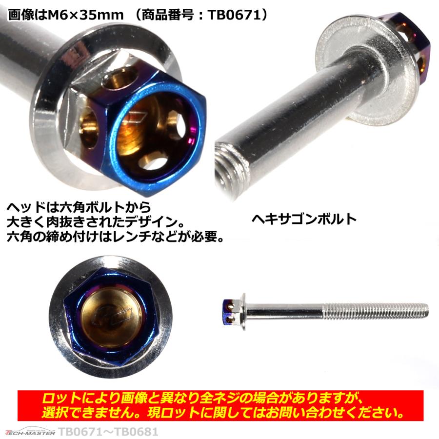 六角ボルト M6×75mm P1.0 ヘキサゴン ステンレス シルバー＆焼きチタンカラー 1個 TB0674 | ブランド登録なし | 02