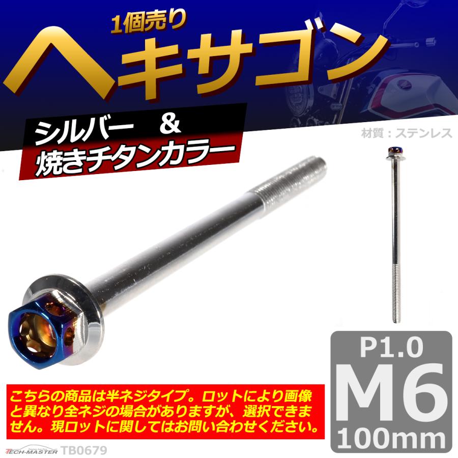 六角ボルト M6×100mm P1.0 ヘキサゴン ステンレス シルバー＆焼きチタンカラー 1個 TB0679 | ブランド登録なし | 01