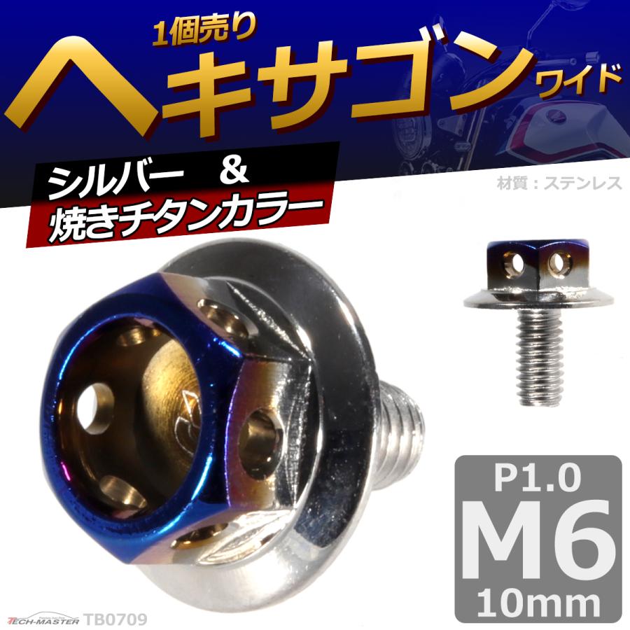 六角ボルト M6×10mm P1.0 ヘキサゴン ワイド ステンレス シルバー＆焼きチタンカラー 1個 TB0709 | ブランド登録なし | 01