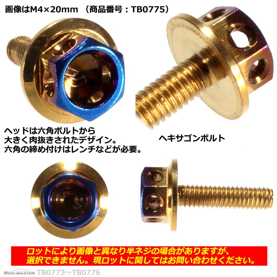 六角ボルト M4×25mm P0.7 ヘキサゴン ステンレス ゴールド＆焼きチタンカラー 1個 TB0776 | ブランド登録なし | 02