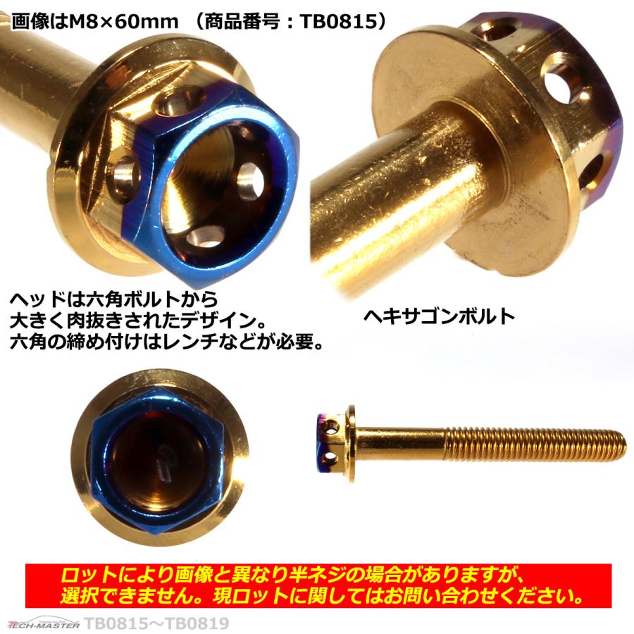 六角ボルト M8×65mm P1.25 ヘキサゴン ステンレス ゴールド＆焼きチタンカラー 1個 TB0816 | ブランド登録なし | 02