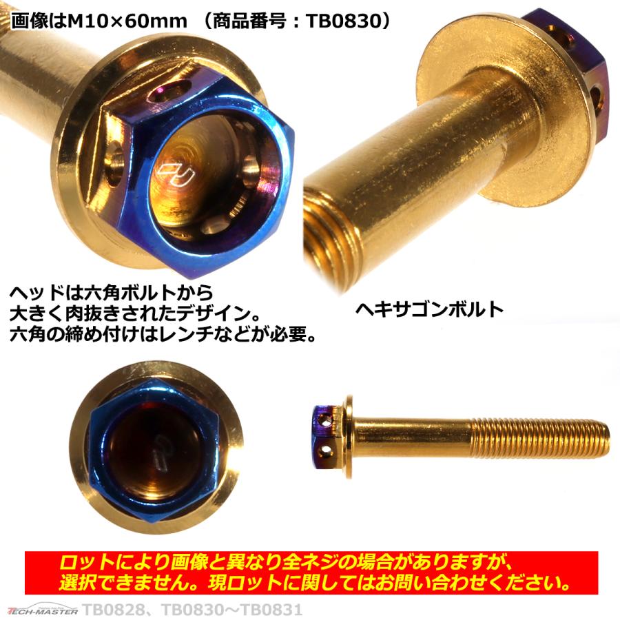六角ボルト M10×60mm P1.25 ヘキサゴン ステンレス ゴールド＆焼きチタンカラー 1個 TB0830 | ブランド登録なし | 02