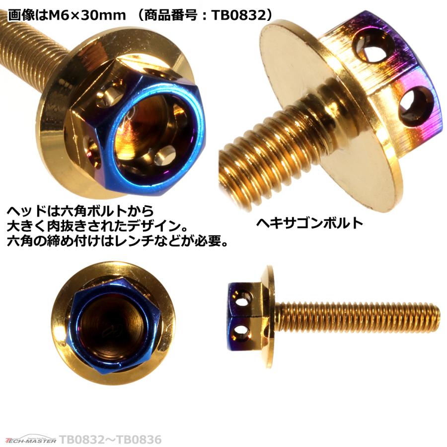 六角ボルト M6×20mm P1.0 ヘキサゴン ワイド ステンレス ゴールド＆焼きチタンカラー 1個 TB0835 | ブランド登録なし | 02