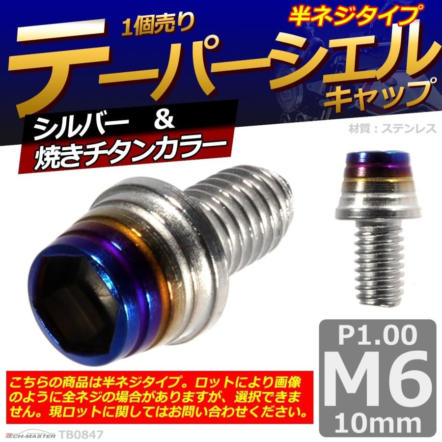 キャップボルト M6×10mm P1.0 テーパーシェル ステンレス シルバー＆焼きチタンカラー 1個 TB0847 | ブランド登録なし | 01