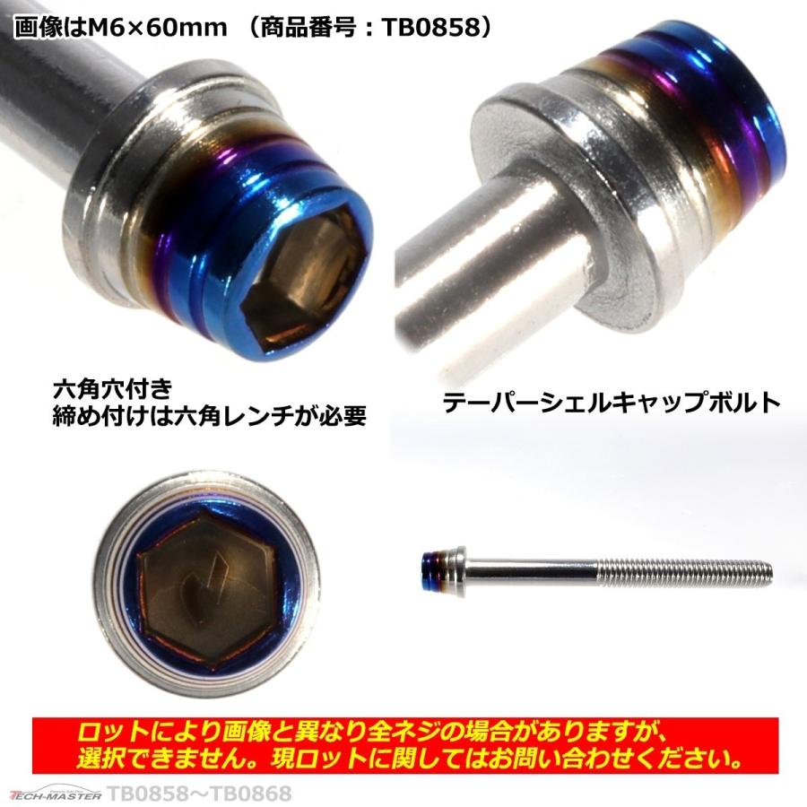 キャップボルト M6×80mm P1.0 テーパーシェル ステンレス シルバー＆焼きチタンカラー 1個 TB0862 | ブランド登録なし | 02