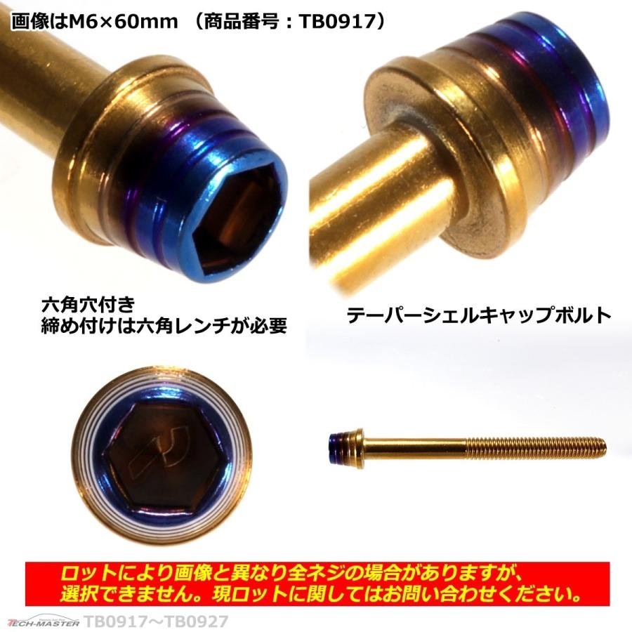 キャップボルト M6×95mm P1.0 テー...の詳細画像2