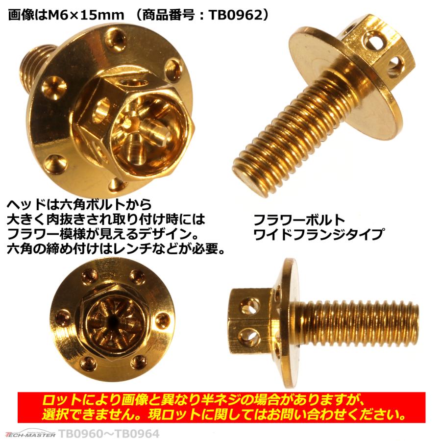 六角ボルト M6×10mm P1.0 フラワーヘッド ワイドフランジ ステンレス ゴールド 1個 TB0960 | ブランド登録なし | 02
