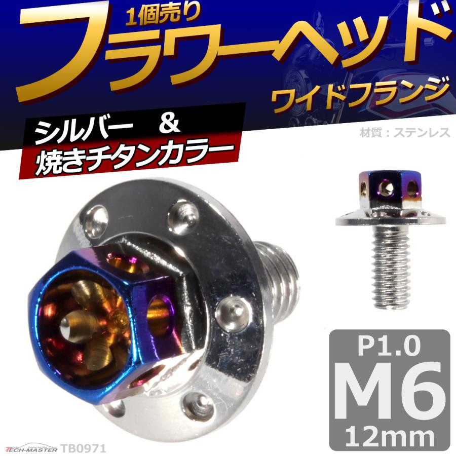 六角ボルト M6×12mm P1.0 フラワーヘッド ワイドフランジ ステンレス シルバー＆焼きチタンカラー 1個 TB0971 | ブランド登録なし | 01