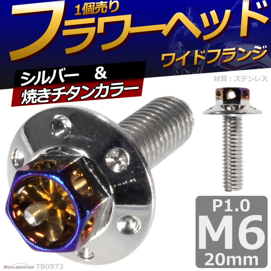 六角ボルト M6×20mm P1.0 フラワーヘッド ワイドフランジ ステンレス シルバー＆焼きチタンカラー 1個 TB0973 | ブランド登録なし | 01