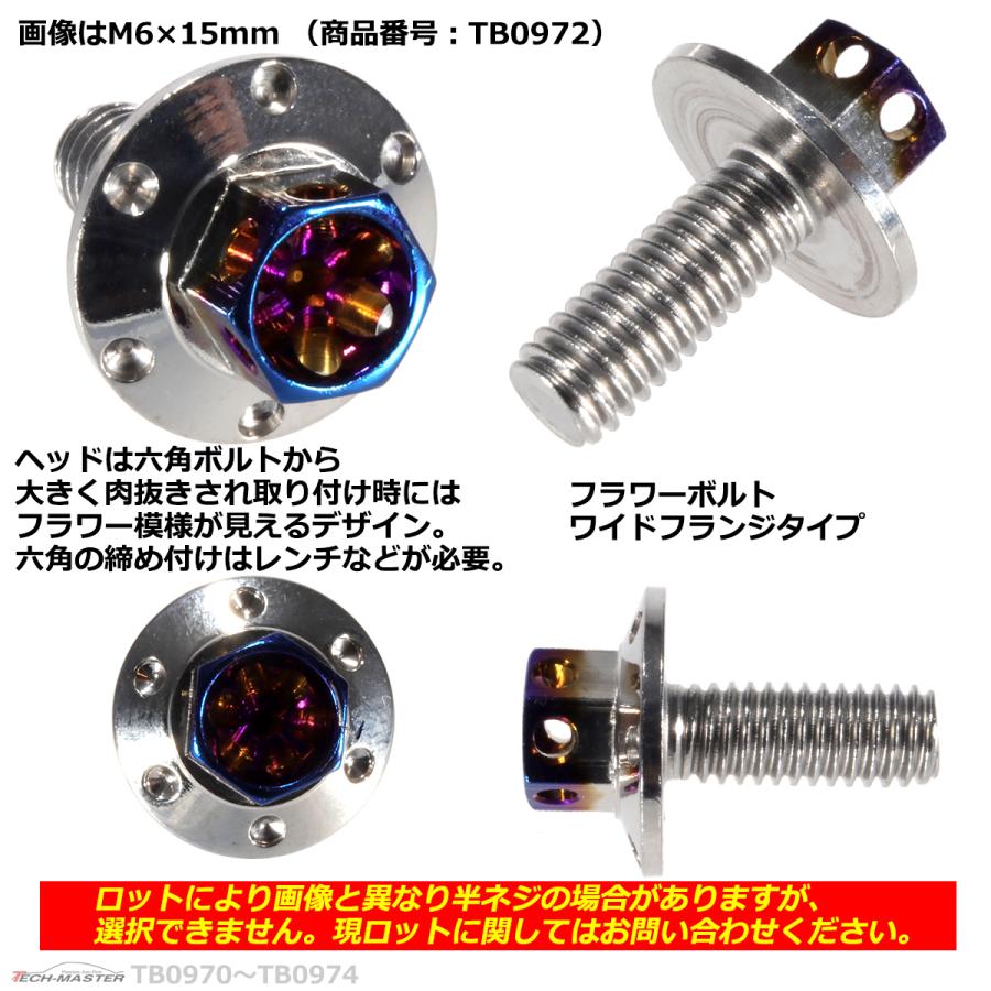 六角ボルト M6×20mm P1.0 フラワーヘッド ワイドフランジ ステンレス シルバー＆焼きチタンカラー 1個 TB0973｜tech｜03