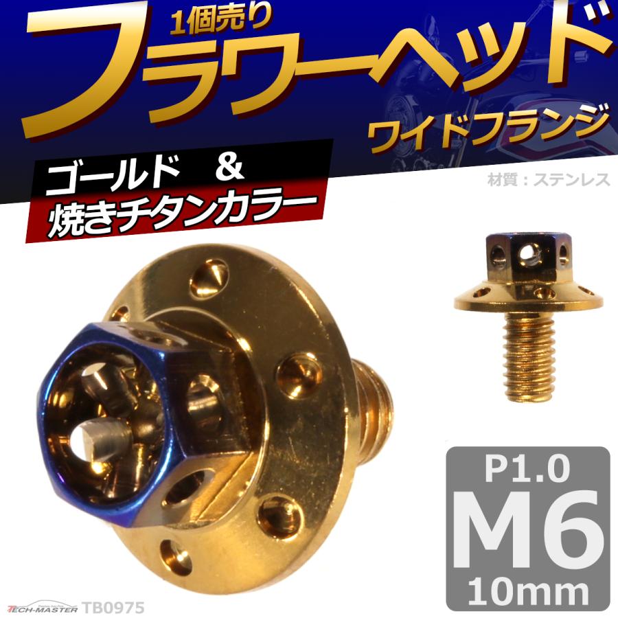 六角ボルト M6×10mm P1.0 フラワーヘッド ワイドフランジ ステンレス ゴールド＆焼きチタンカラー 1個 TB0975 | ブランド登録なし | 01