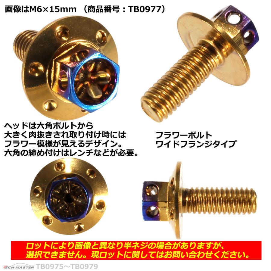 六角ボルト M6×12mm P1.0 フラワーヘッド ワイドフランジ ステンレス ゴールド＆焼きチタンカラー 1個 TB0976 | ブランド登録なし | 02