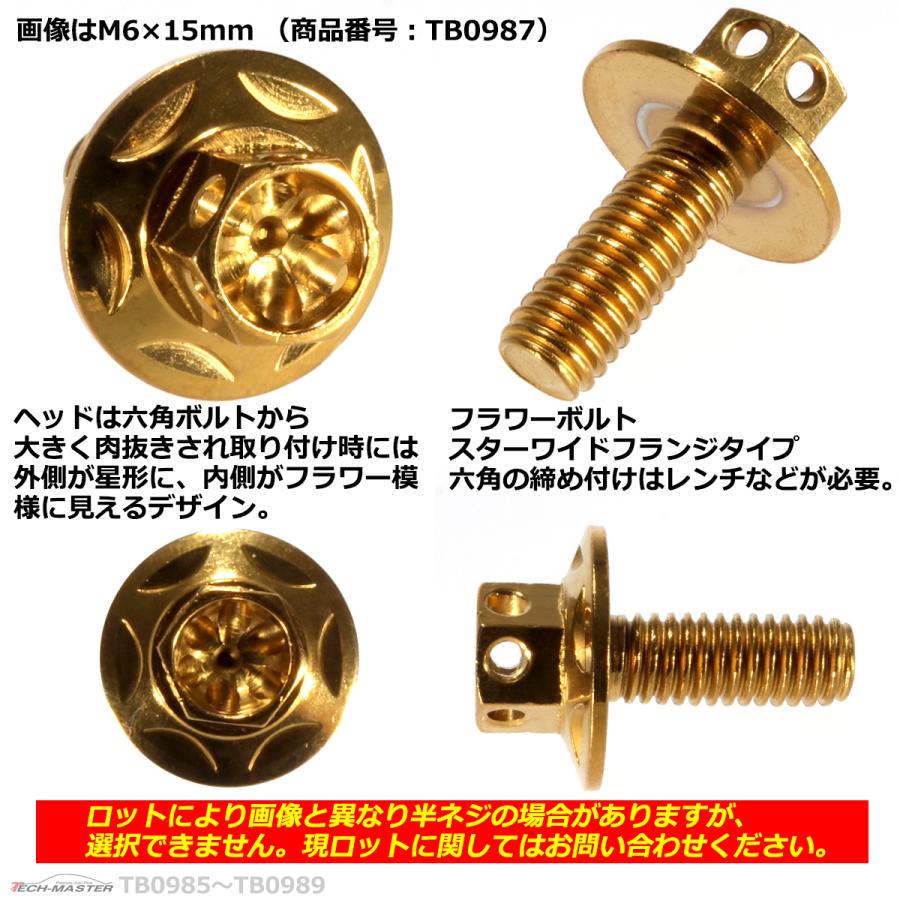 六角ボルト M6×25mm P1.0 フラワーヘッド スターワイドフランジ ステンレス ゴールド 1個 TB0989 | ブランド登録なし | 02
