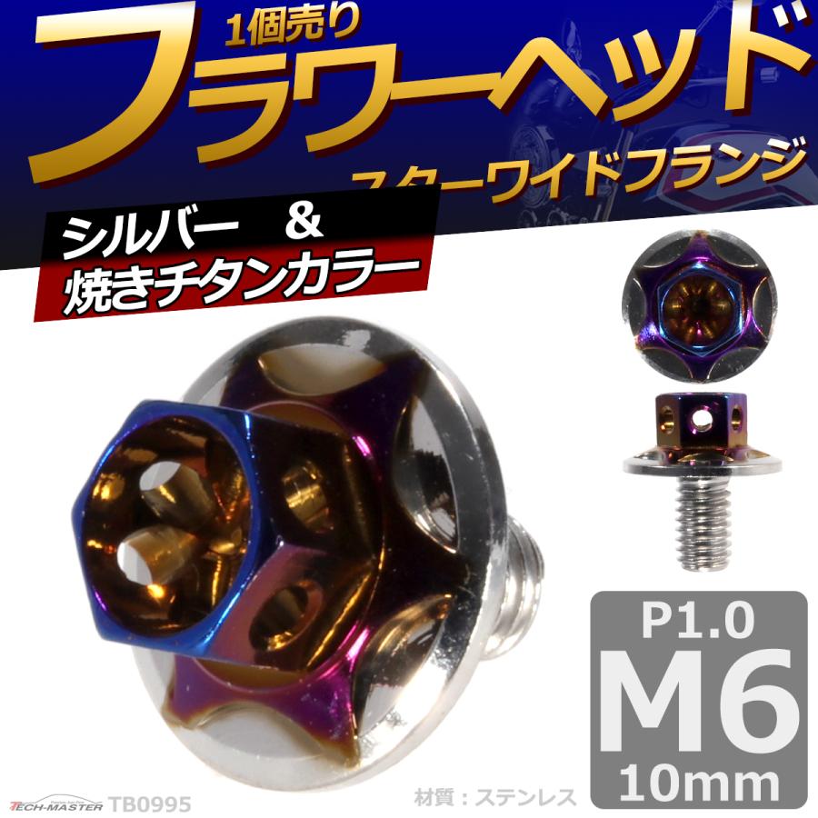 六角ボルト M6×10mm P1.0 フラワーヘッド スターワイドフランジ ステンレス シルバー＆焼きチタンカラー 1個 TB0995 | ブランド登録なし | 01