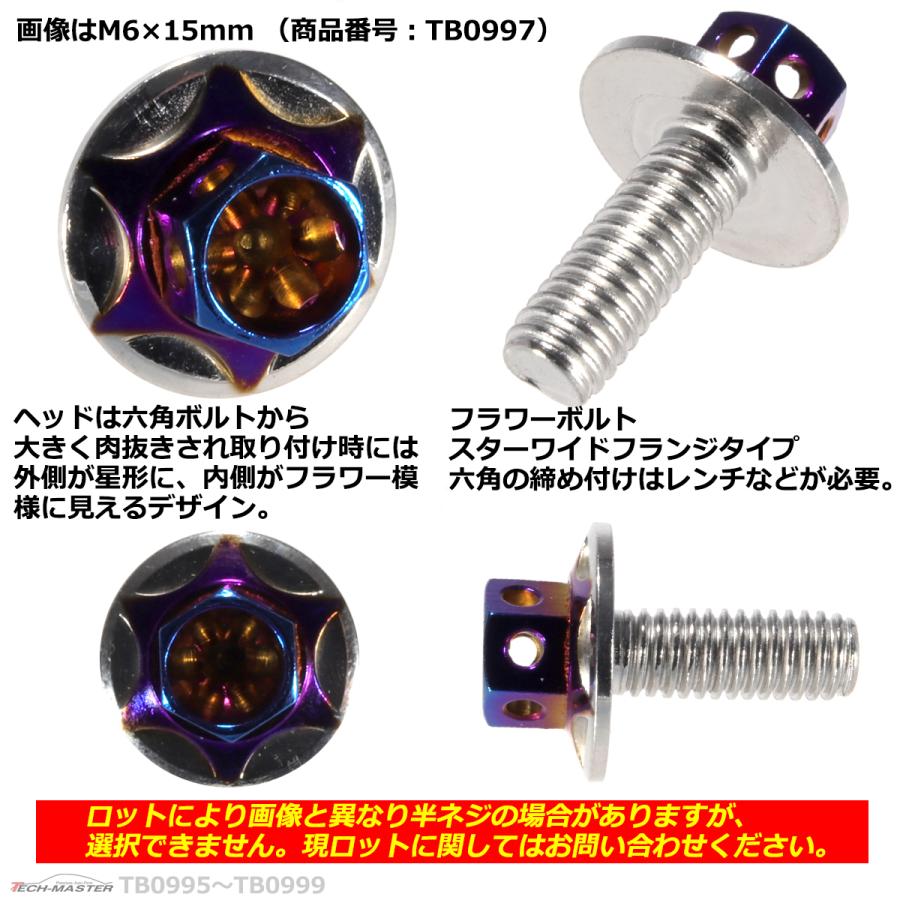 六角ボルト M6×12mm P1.0 フラワーヘッド スターワイドフランジ ステンレス シルバー＆焼きチタンカラー 1個 TB0996 | ブランド登録なし | 02