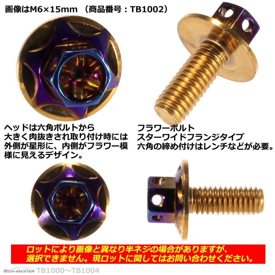 六角ボルト M6×10mm P1.0 フラワーヘッド スターワイドフランジ ステンレス ゴールド＆焼きチタンカラー 1個 TB1000 | ブランド登録なし | 02