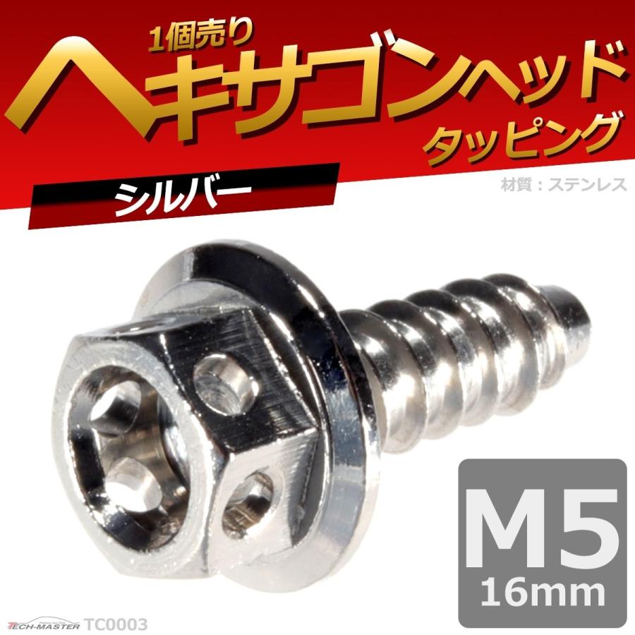 M5×16mm タッピングネジ タッピングビス タッピングボルト シルバー ステンレス 1本 TC0003 | ブランド登録なし | 01