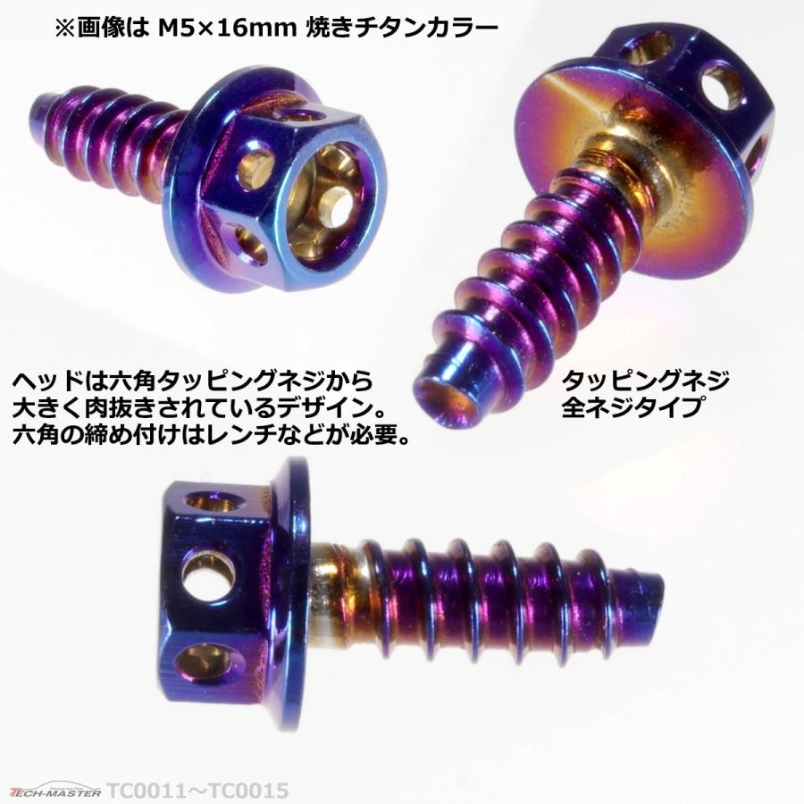 M5×16mm タッピングネジ タッピングビス タッピングボルト 焼きチタンカラー ステンレス 1本 TC0013｜tech｜03