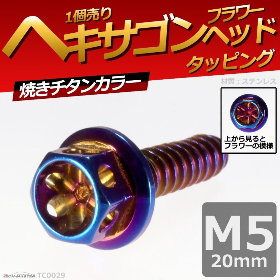 M5×20mm タッピングネジ タッピングビス タッピングボルト 焼きチタンカラー ステンレス 1本 TC0029 | ブランド登録なし | 01