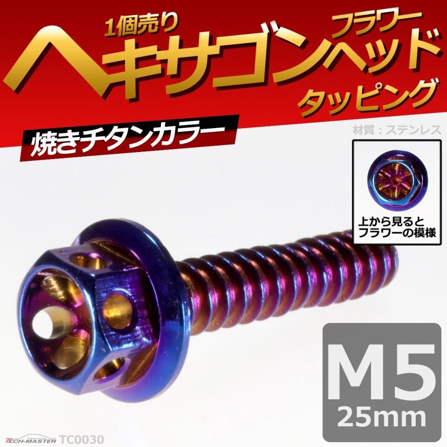 M5×25mm タッピングネジ タッピングビス タッピングボルト 焼きチタンカラー ステンレス 1本 TC0030 | ブランド登録なし | 01