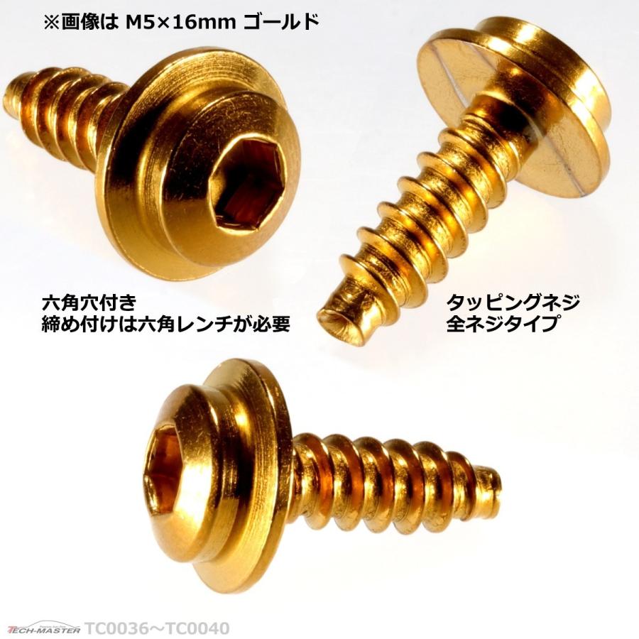 M5×20mm タッピングネジ タッピングビス タッピングボルト ゴールド ステンレス 1本 TC0039 | ブランド登録なし | 02