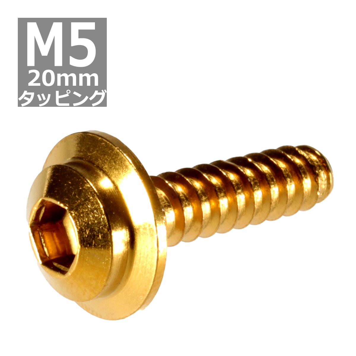 M5×20mm タッピングネジ タッピングビス タッピングボルト