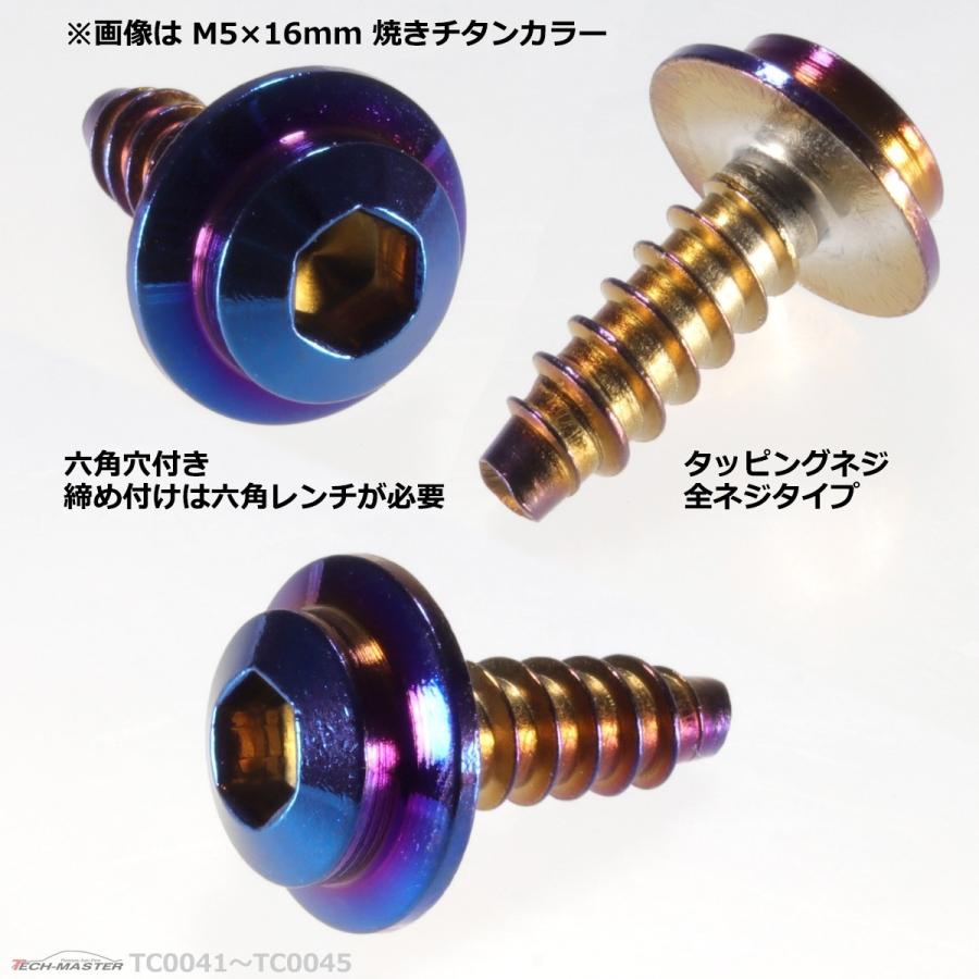 M4×16mm タッピングネジ タッピングビス タッピングボルト 焼きチタンカラー ステンレス 1本 TC0042 | ブランド登録なし | 02