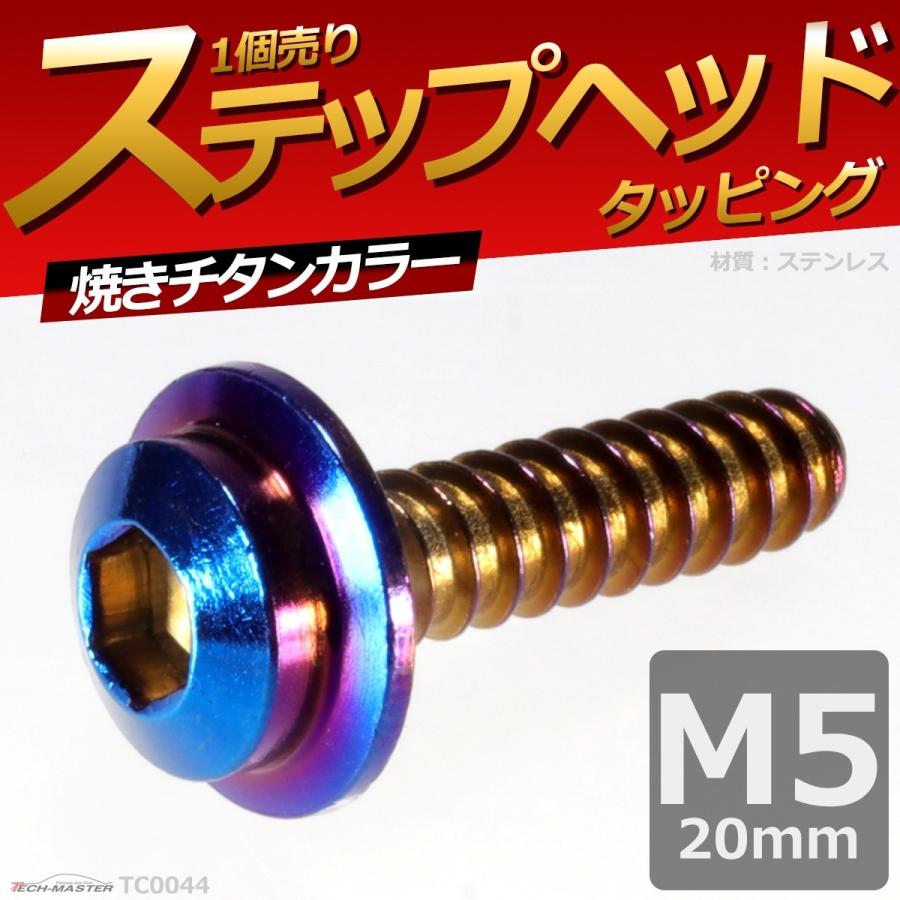 M5×20mm タッピングネジ タッピングビス タッピングボルト 焼きチタンカラー ステンレス 1本 TC0044｜tech｜02