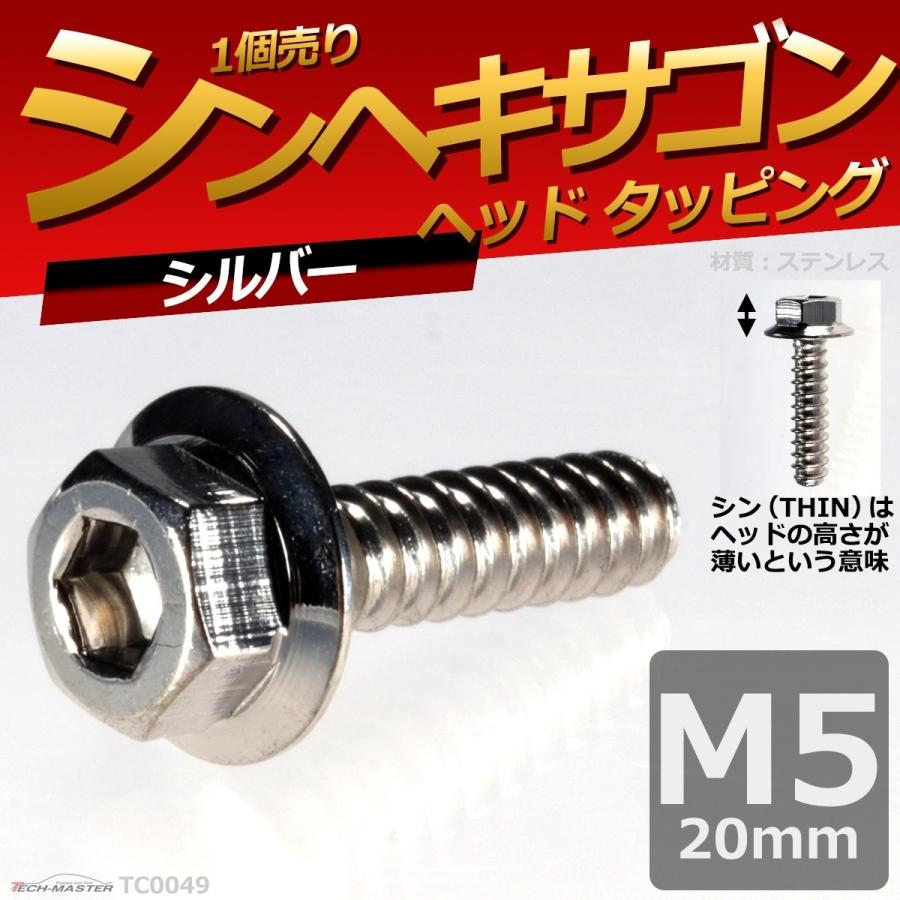 M5×20mm タッピングネジ タッピングビス タッピングボルト シルバー ステンレス 1本 TC0049 | ブランド登録なし | 01