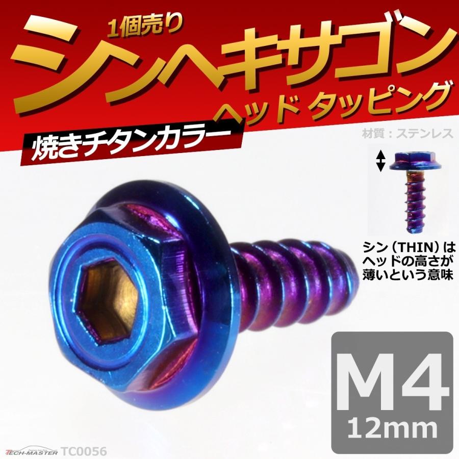 M4×12mm タッピングネジ タッピングビス タッピングボルト 焼きチタンカラー ステンレス 1本 TC0056 | ブランド登録なし | 01