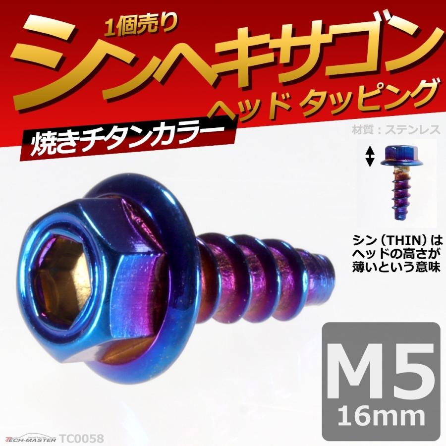 M5×16mm タッピングネジ タッピングビス タッピングボルト 焼きチタンカラー ステンレス 1本 TC0058 | ブランド登録なし | 01